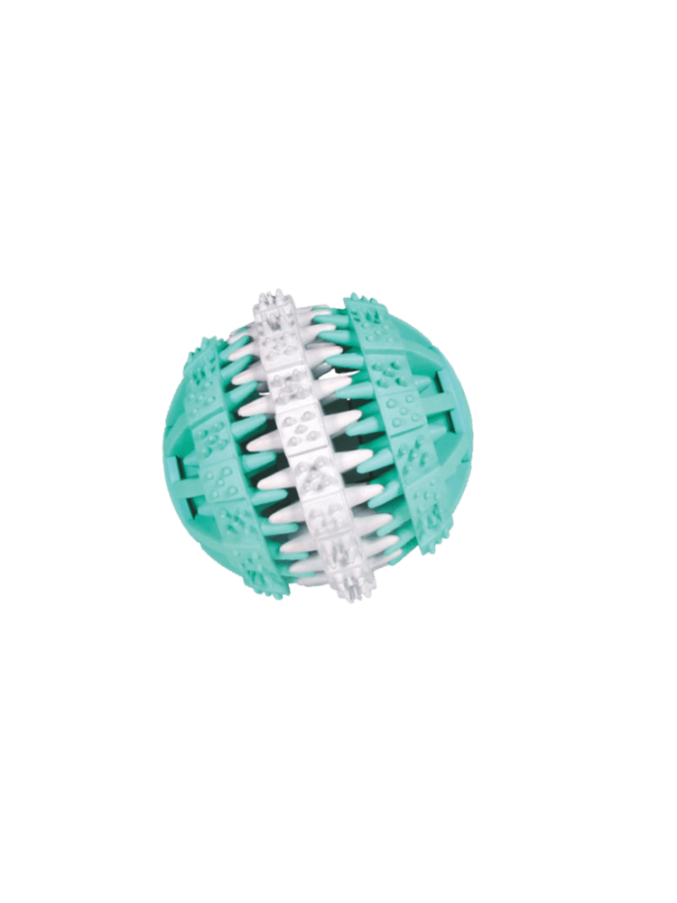 Gryzak dla psa piłka dentystyczna o smaku mięty – denta fun 5,5 cm