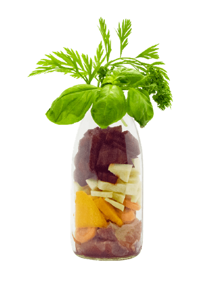SmoothieDog BEEF – wołowina 250 ml