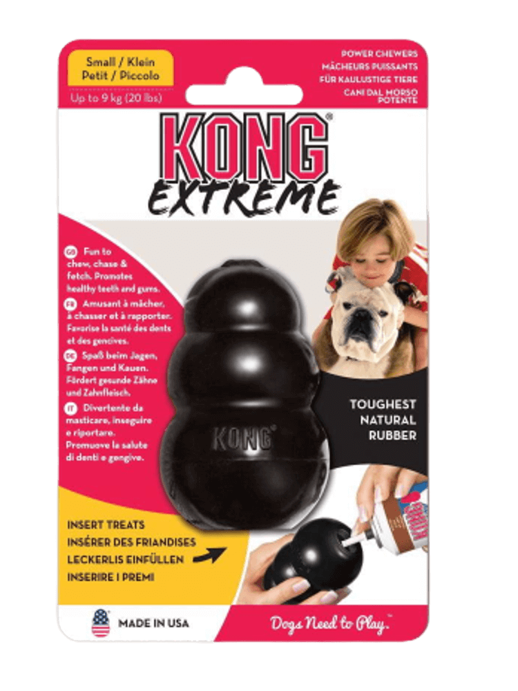 Comfort Tykes Gąsiątko (Gosling) – zabawka, którą psy po prostu… kochają