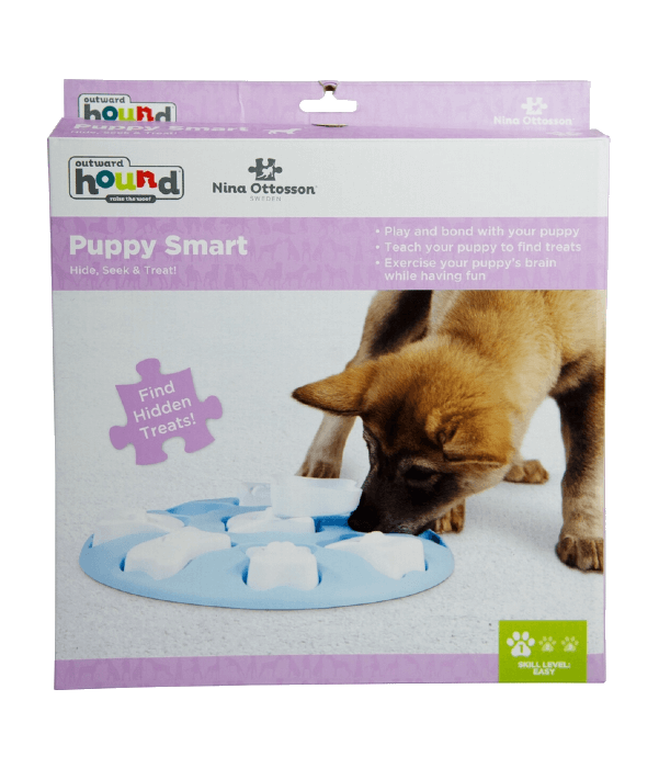 EcoZippy Dinoz – Stegosaurus – Dinozaur