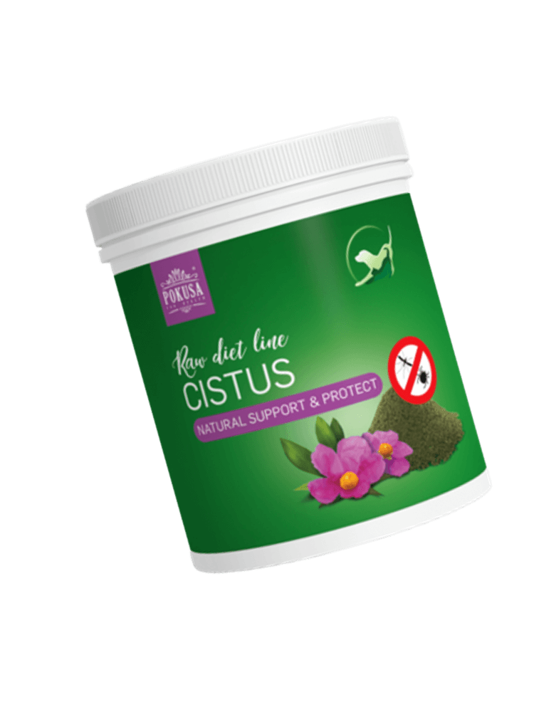 RawDietLine Cistus – Czystek –  100 g