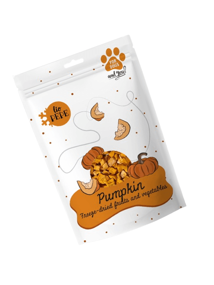 🎃 Halloween z psem – jak przygotować pupila do strasznie dobrej zabawy? 🐶👻