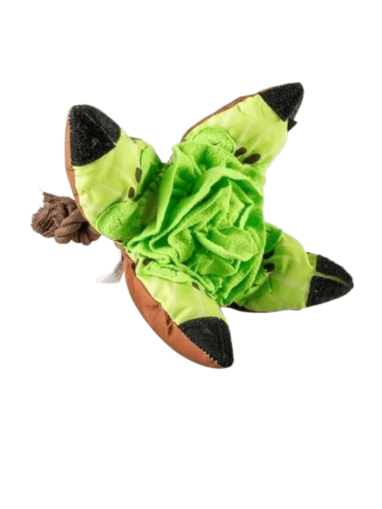 Kiwi – Zabawka na przysmaki 37x37x26 cm