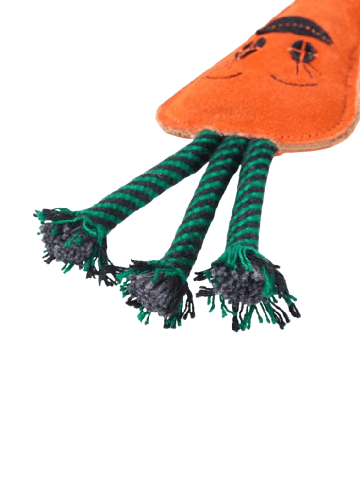 Candice the Carrot – Marchewka – zabawka ekologiczna dla psa