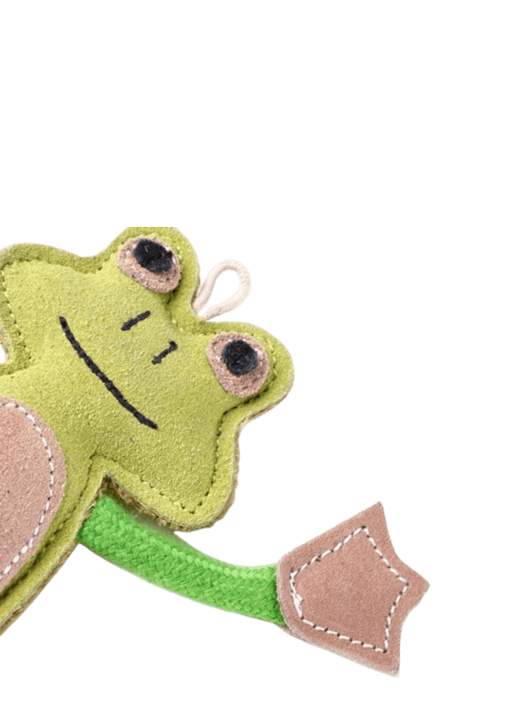 Francois Le Frog – Żaba – zabawka ekologiczna dla psa