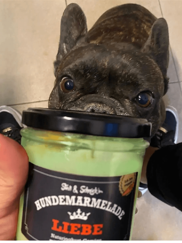 Hundemarmelade Liebe Dżem Dobry Miłość 275 g