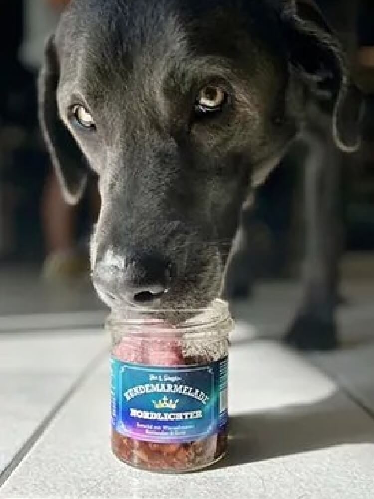 Hundemarmelade Liebe Dżem Dobry Zorza Polarna 275 g