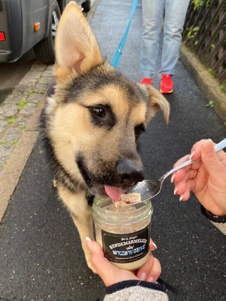 Hundemarmelade Liebe Dżem Biała Kiełbasa 275 g