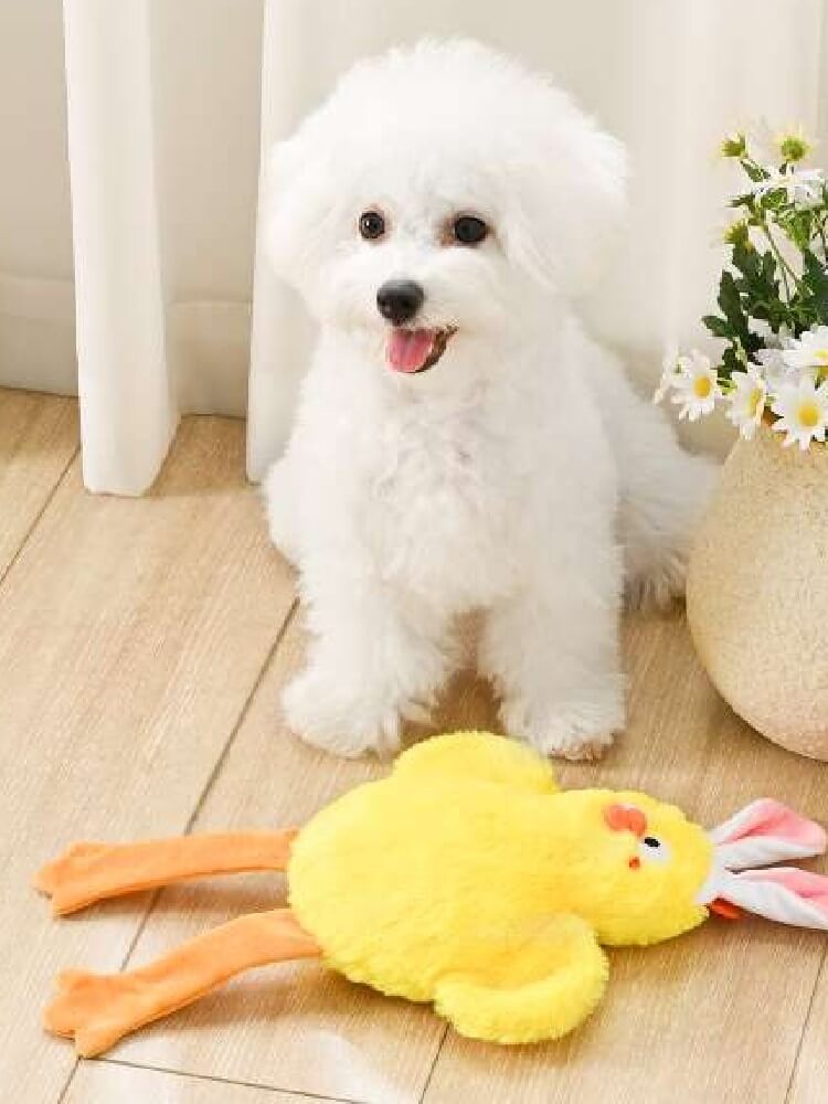 Hoppin’ Easter – Easter Chick – Wielkanocny kurczak z uszami zająca