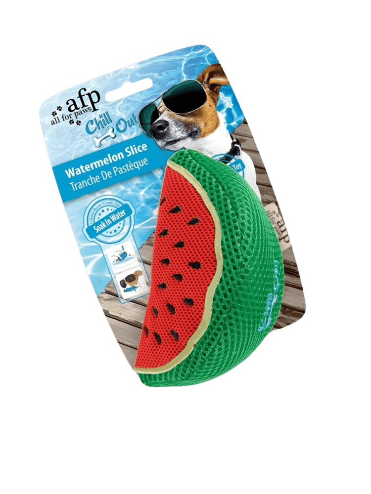 Outdoor Fetch Dummy-  szarpak z piszczącą boją