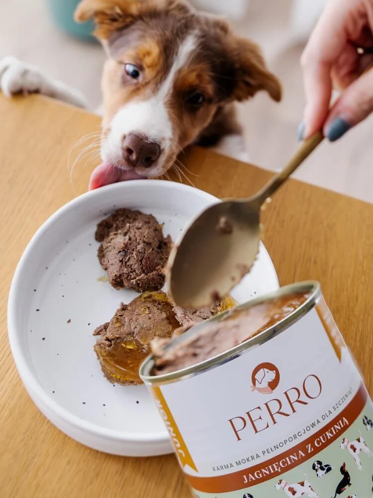 Gourmet Karma mokra Jagnięcina z cukinią dla szczeniąt  800 g