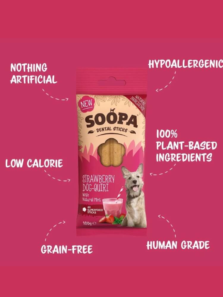 Dental Stick Strawberry Dog-Quiri – Dental Stick Truskawkowo – Miętowe 100 g/4 szt.