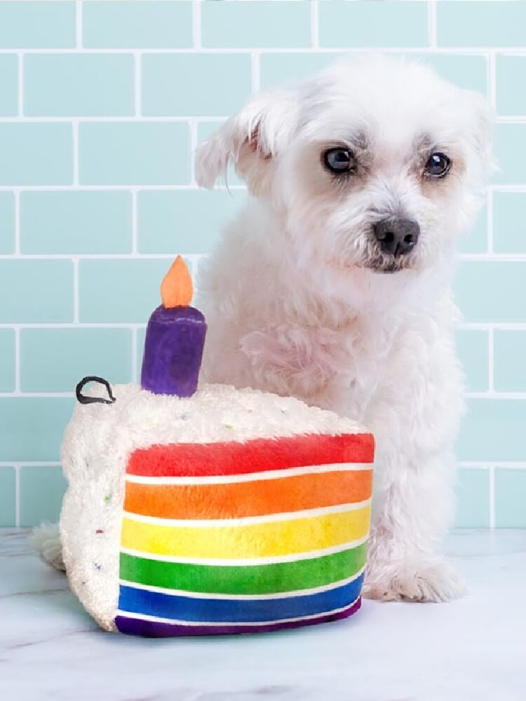 Power Plush Funfetti Cake Small Tęczowe małe ciastko – zabawka dla psa
