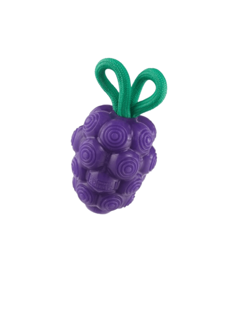 OH DENTAL Grapess- gryzak dentystyczny  WINOGRONA