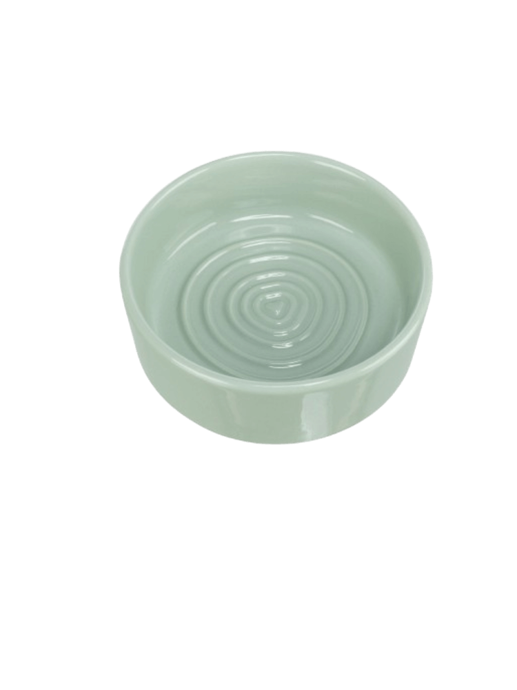 Ceramiczna miska dla psa, kolor szałwiowy, 0,8 l – 16 cm
