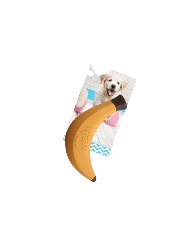 Little Buddy Banana – Lateksowy banan, zabawka dla psa