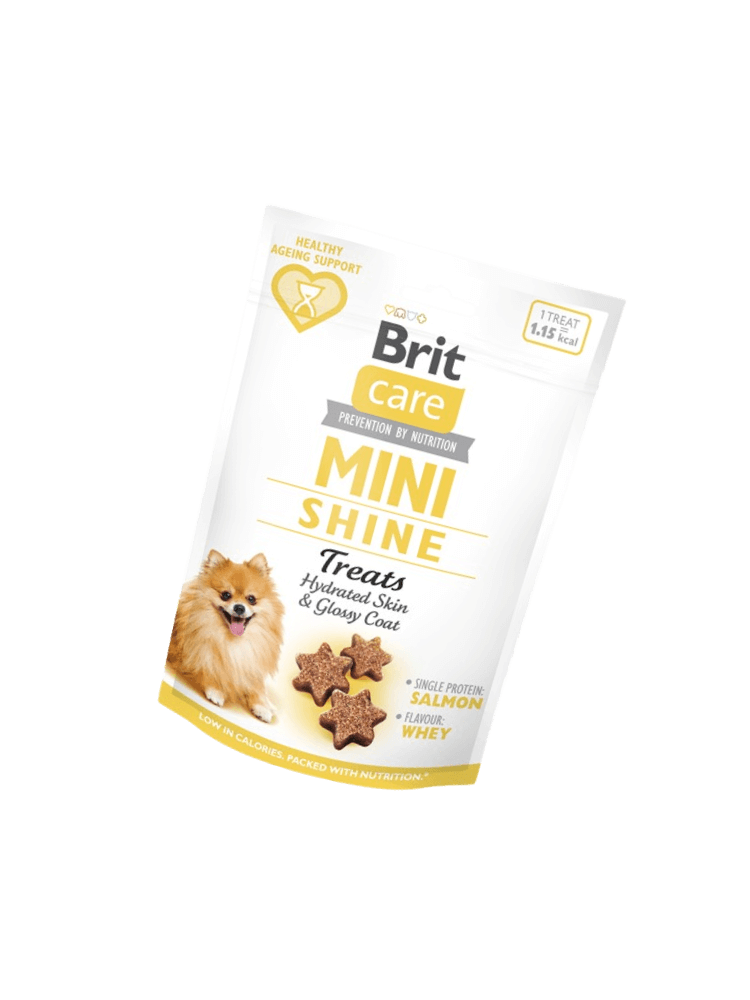 Care Dog Mini Snacks Shine, półmiękkie, funkcjonalne smakołyki łosoś, 50 g