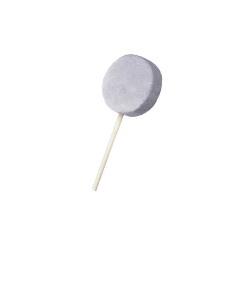 Blueberry – Jagodowy Liofilizowany lizak mięsny dla psów, Lollipop 1 sztuka