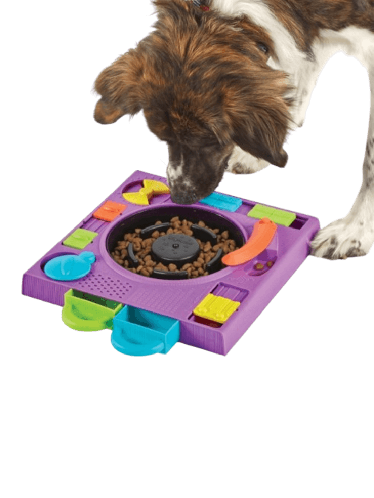 Kreatywna Łamigłówka  Dj Doggo DJ PIES-  gra umysłowa dla psa