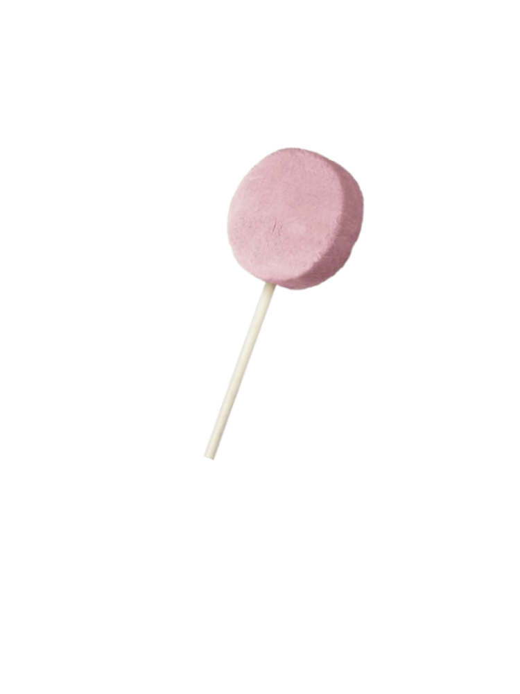 Cranberry – Żurawinowy Liofilizowany lizak mięsny dla psów, Lollipop 1 sztuka