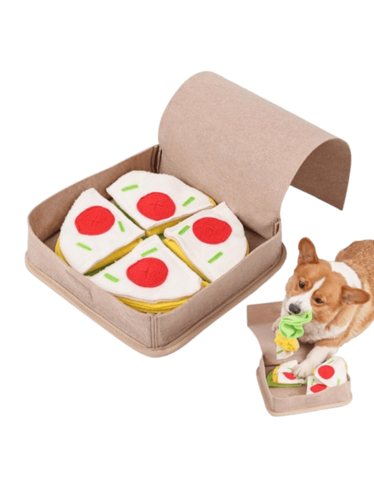 Pudełko Pizzy- zabawka węchową dla psa