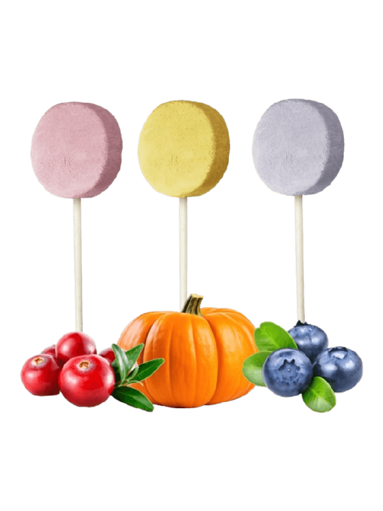 Liofilizowane lizaki mięsne dla psów – mix smaków (Lollipop – Mixed Flavor), 48 g