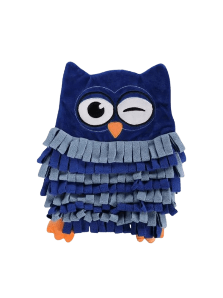 Mata węchowa sowa