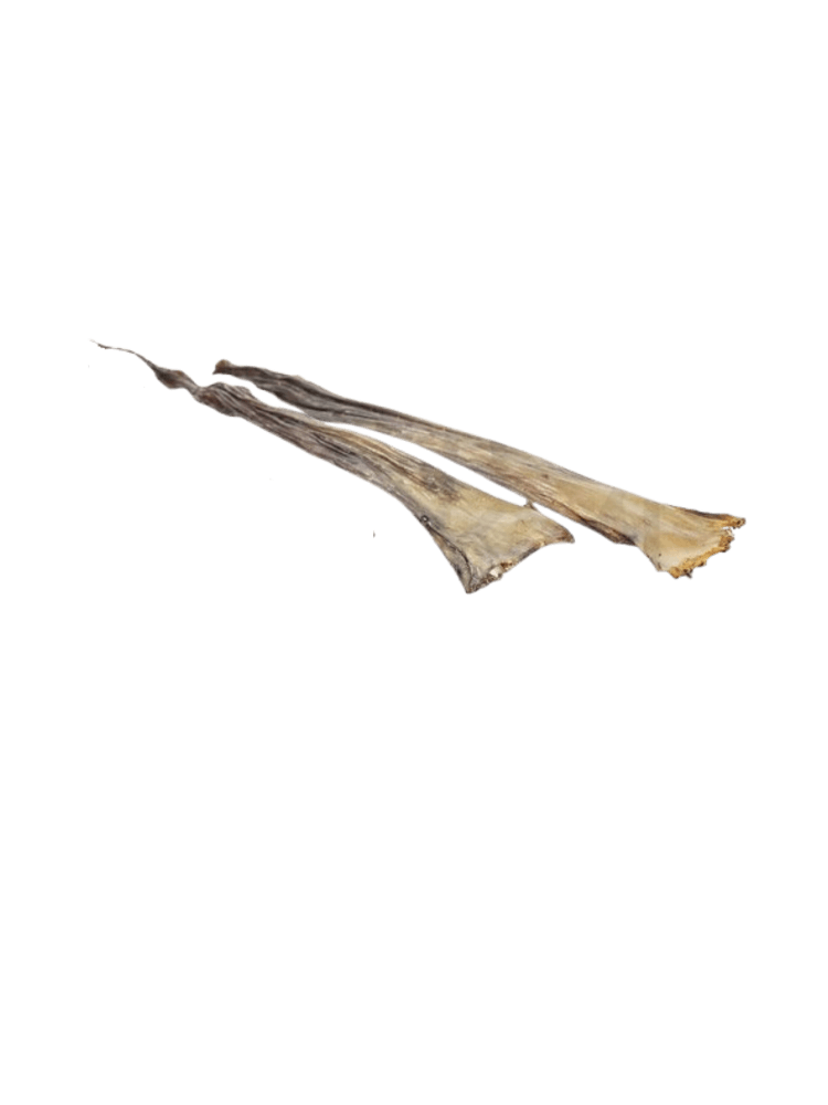 Skóra królicza 50 cm – 2 szt.