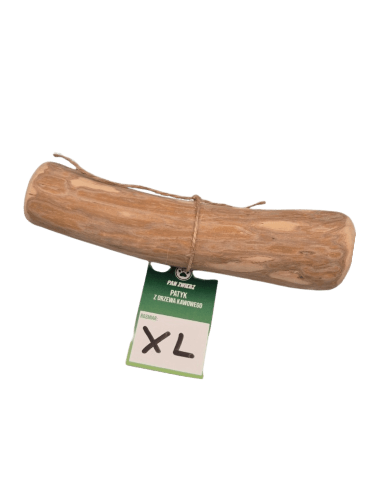 Patyki z drzewa kawowego, rozmiar XL