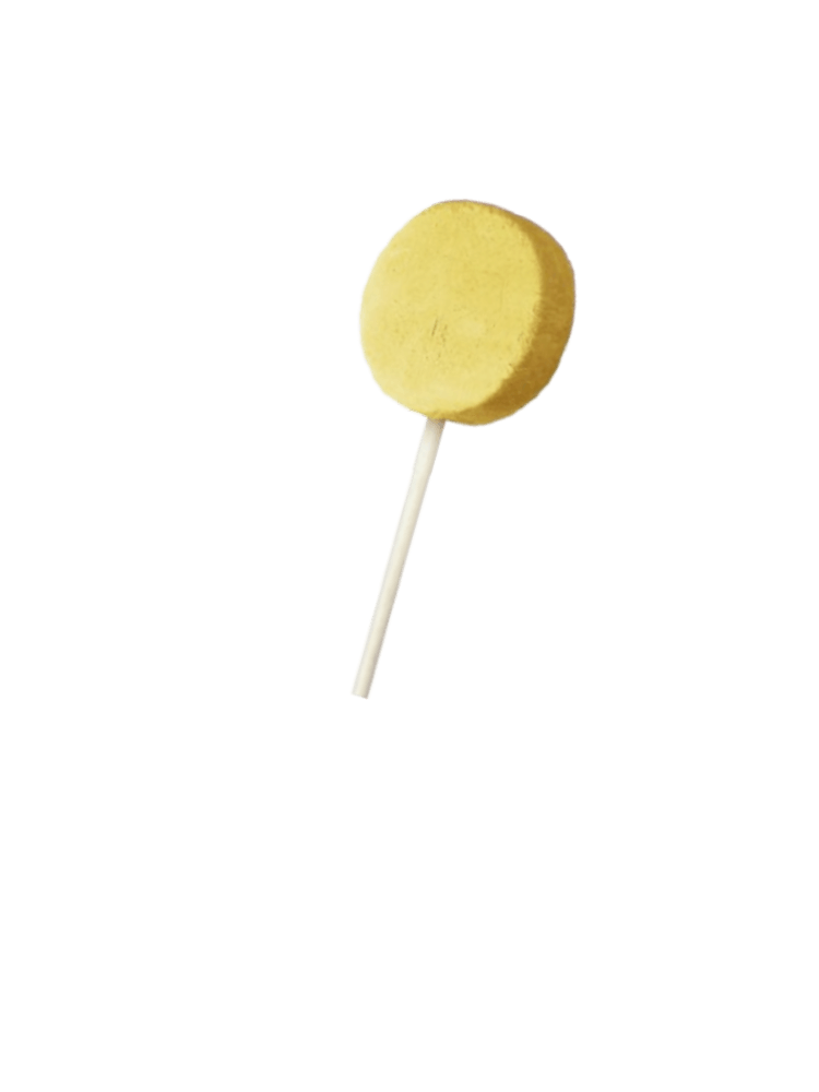 Pumpkin – Dyniowy Liofilizowany lizak mięsny dla psów, Lollipop 1 sztuka