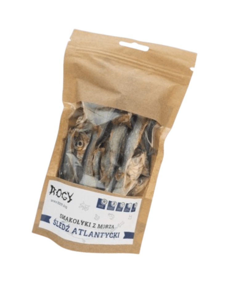 Śledź Atlantycki 70 g