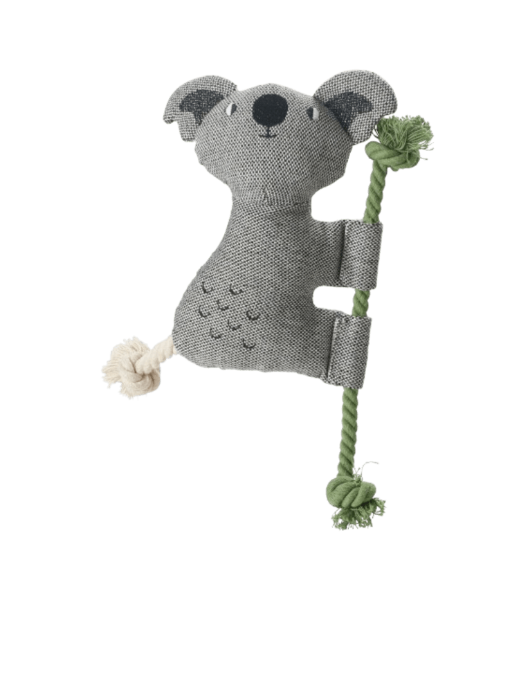 Zabawka dla psa Rio Koala