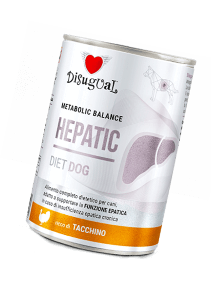 Veterinary Dog  Hepatic Mokra karma Indyk dla dorosłych 400 g