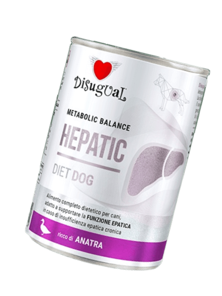 Veterinary Dog  Hepatic Mokra karma Kaczka dla dorosłych 400 g