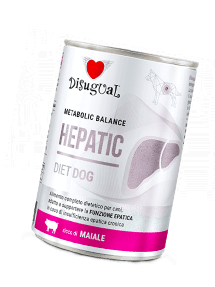 Veterinary Dog  Hepatic Mokra karma Wieprzowina dla dorosłych 400 g