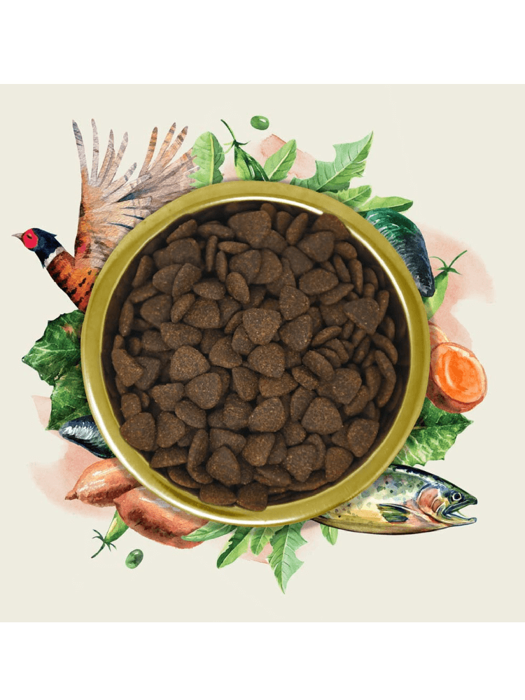 Gourmet Łosoś & Bażant Pełnoporcjowa karma dla psów dorosłych - 2 kg