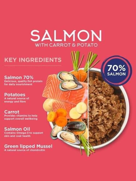 Salmon with Carrot & Potato mokra karma dla psa Łosoś z marchewką i ziemniakami 395 g