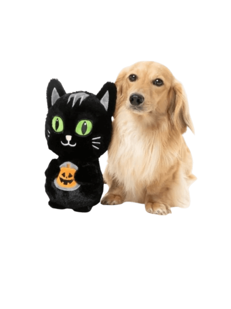 Halloween Kotka Meowly Cyrus  pluszak z piszczałkami dla psiaków