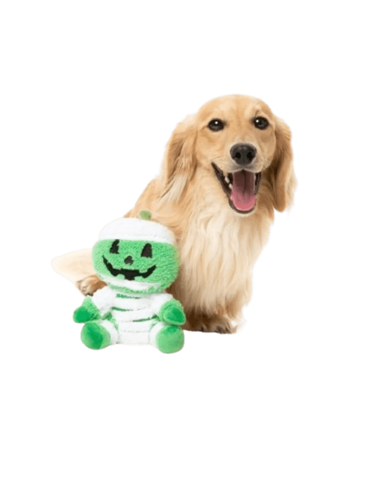 Halloween Mumia Jack-O Chan pluszak z piszczałkami dla psiaków