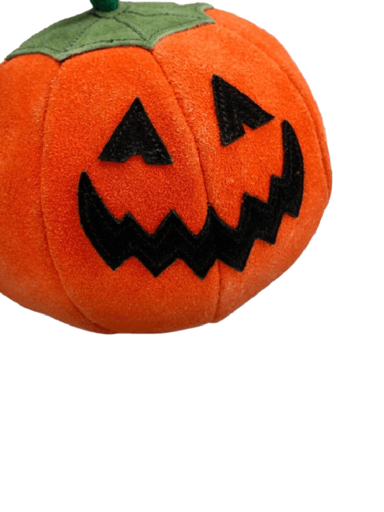 Patch the Pumpkin – Dynia
