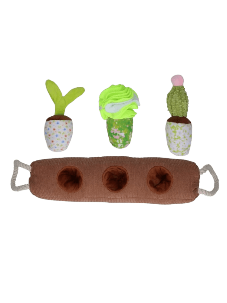 Snuffle Box Sprout, Crop & Cactus – Kuchenny ogródek do zabaw węchowych dla psa