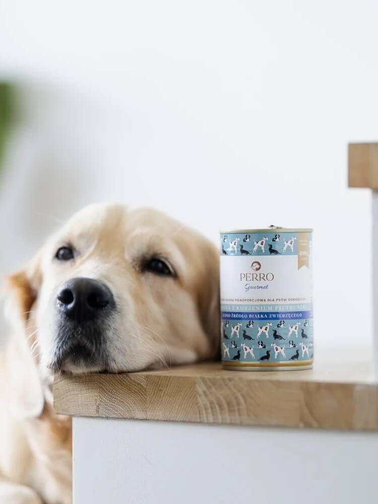 Gourmet Karma mokra Konina z korzeniem pietruszki  – monobiałkowa formuła dla psów dorosłych 400 g