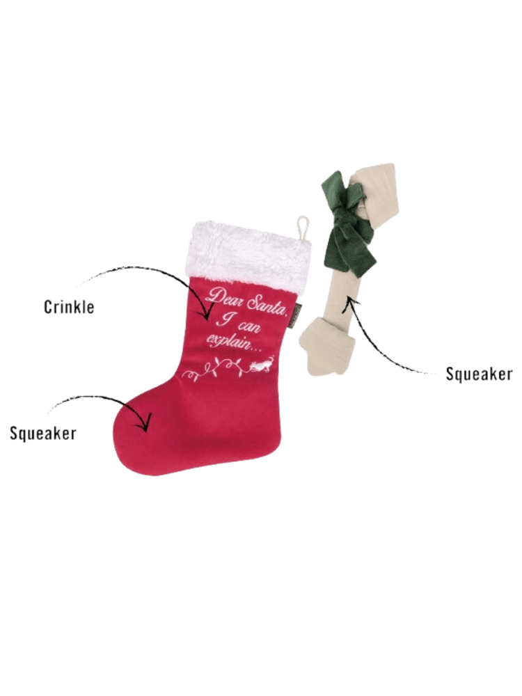 Sock – Skarpeta święta zabawka dla zwierząt
