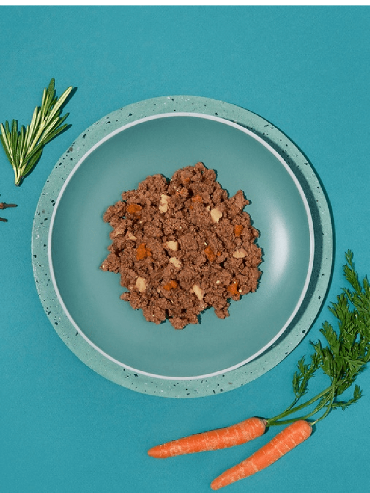 Dog Adult Irresistible Beef – wołowina saszetka 300 g