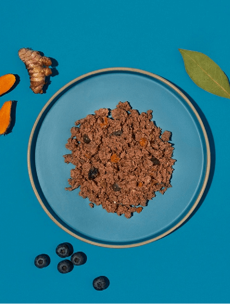Dog Adult Iberian Pork – wieprzowina saszetka 300 g