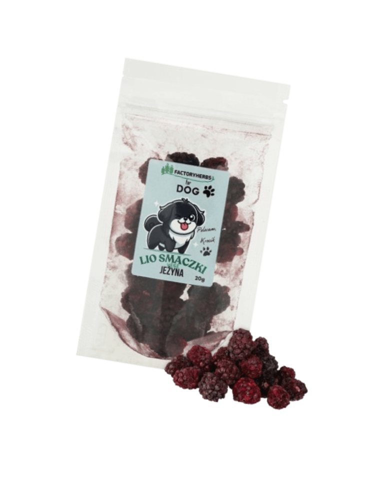 FOR DOG Liofilizowane smaczki dla psa jeżyna 20 g