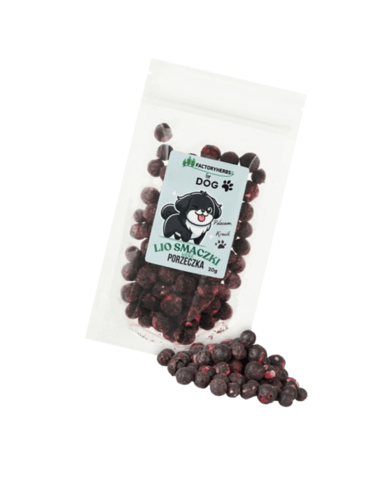 FOR DOG Liofilizowane smaczki dla psa porzeczka czarna 20 g