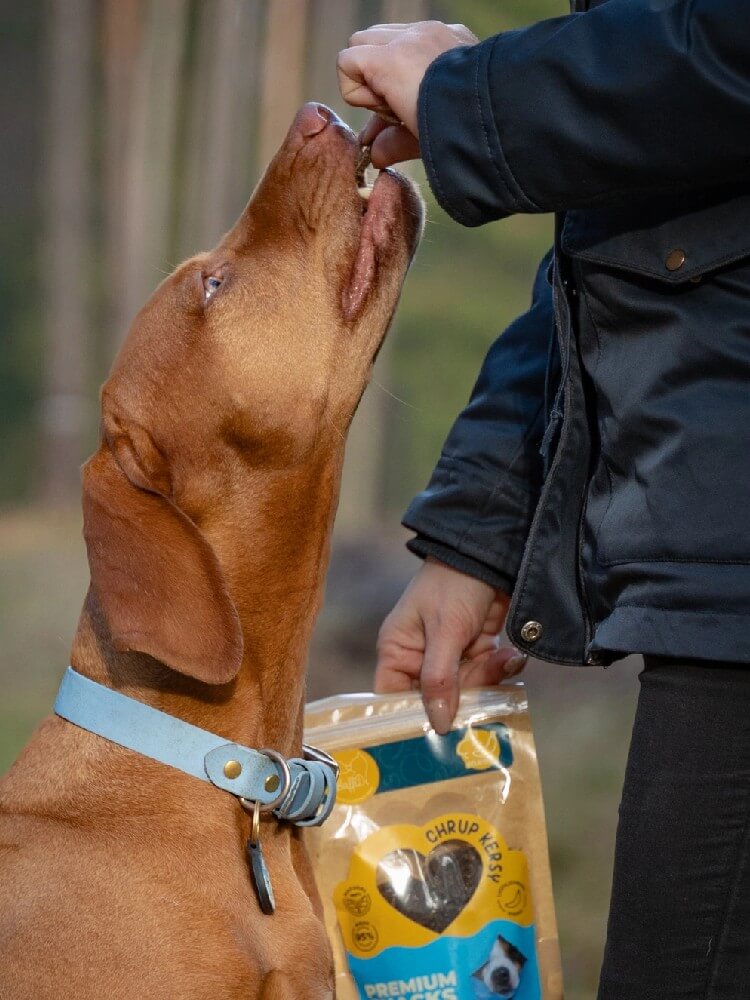 ChrupKersy dla psa – królik z liofilizowanym bananem 90 g