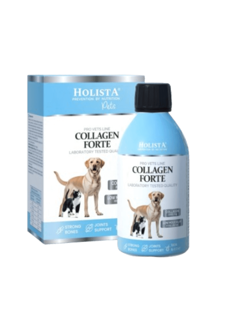 Collagen Collagen Forte 100 ml