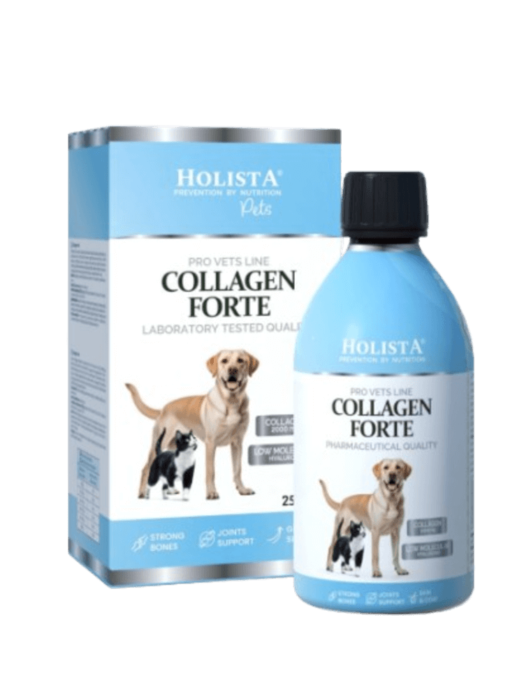 Collagen Collagen Forte 250 ml